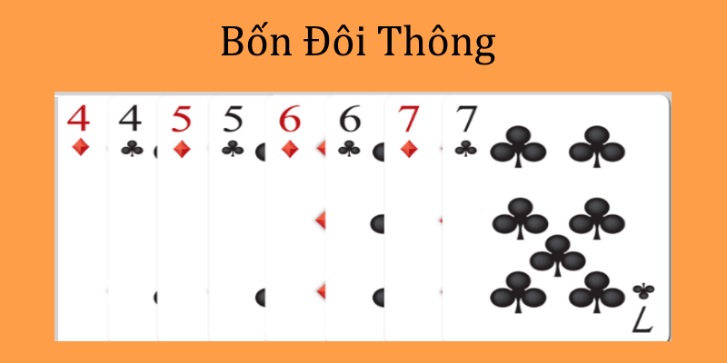 Những thông tin cơ bản về bốn đôi thông bạn cần biết